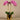 Flowers-Artificial Orchid Arrangement-Bloomr