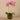 Flowers-Artificial Orchid Arrangement-Bloomr