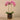 Flowers-Artificial Orchid Arrangement-Bloomr