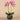 Flowers-Artificial Orchid Arrangement-Bloomr