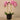 Flowers-Artificial Orchid Arrangement-Bloomr