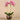 Flowers-Artificial Orchid Arrangement-Bloomr