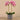 Flowers-Artificial Orchid Arrangement-Bloomr