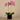 Flowers-Artificial Orchid Arrangement-Bloomr