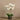 Flowers-Artificial Orchid Arrangement-Bloomr