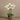 Flowers-Artificial Orchid Arrangement-Bloomr