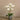 Flowers-Artificial Orchid Arrangement-Bloomr