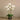 Flowers-Artificial Orchid Arrangement-Bloomr