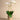 Flowers-Artificial Orchid Arrangement-Bloomr