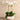 Flowers-Greenhouse Artificial Orchid Arrangement-Bloomr