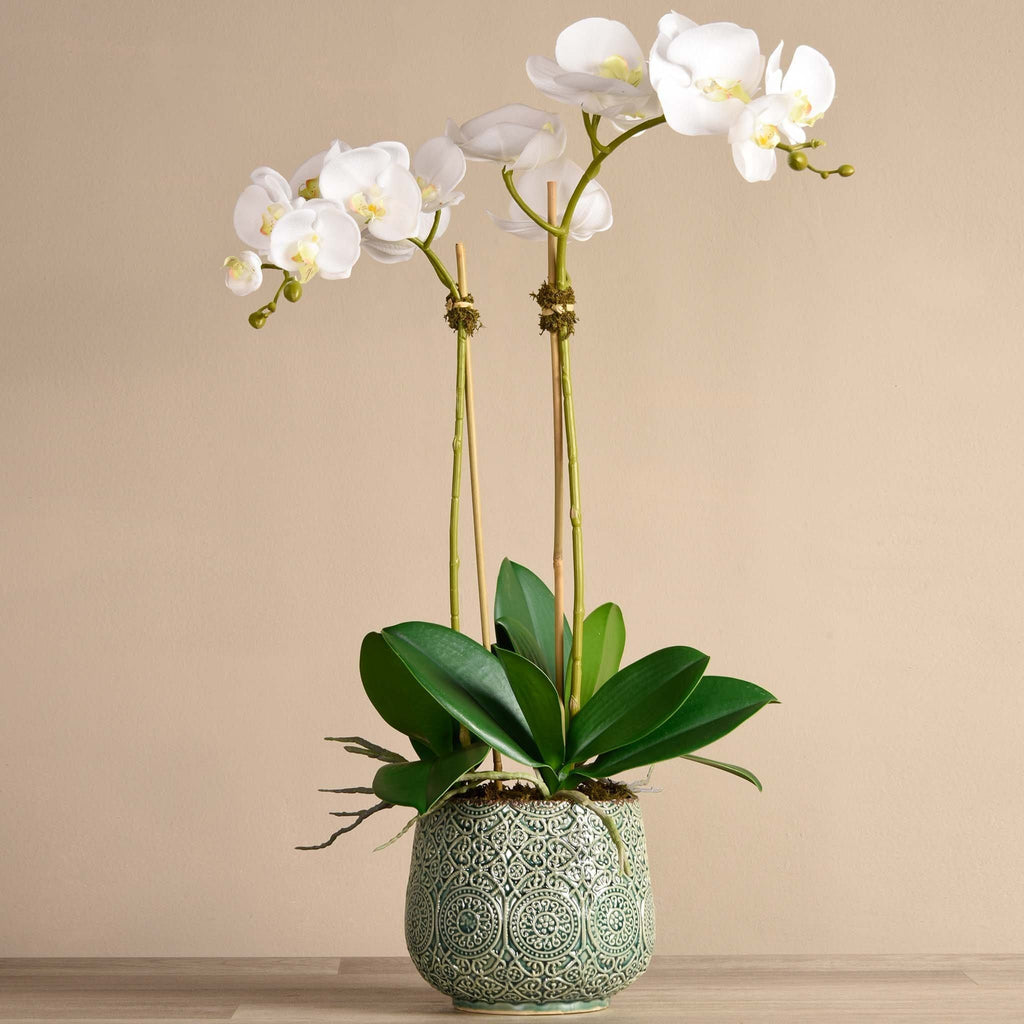Artificial Orchid Arrangement - Bloomr