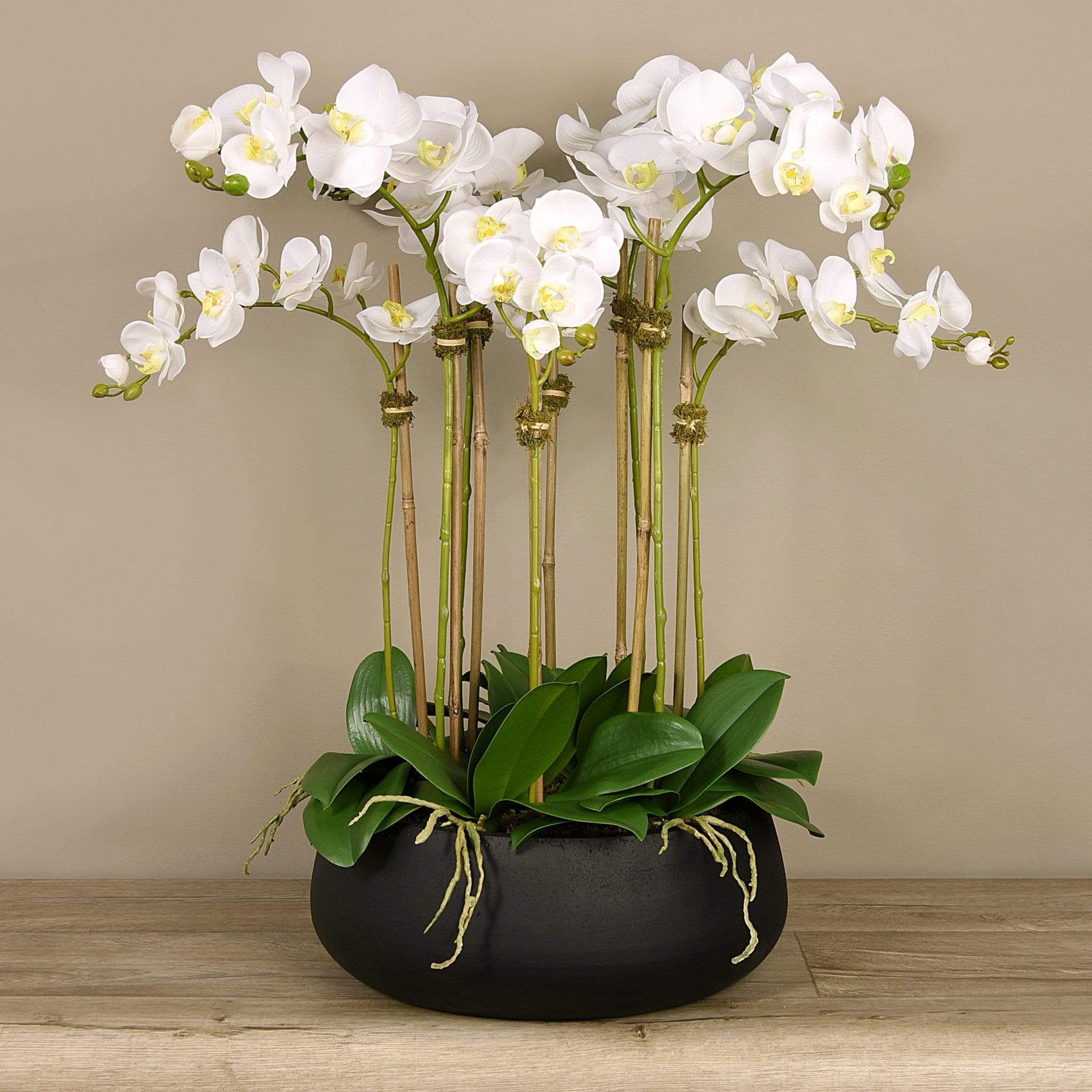 Oasis Artificial Orchids in Black Pot - Bloomr