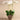 Flowers-Rustic Orchid Arrangement-Bloomr