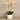 Flowers-Artificial Orchid Arrangement-Bloomr