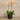 Flowers-Artificial Orchid Arrangement-Bloomr