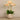 Flowers-Artificial Orchid Arrangement-Bloomr