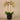 Flowers-Artificial Orchid Arrangement-Bloomr