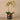 Flowers-Artificial Orchid Arrangement-Bloomr