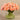 Floral Arrangement-Artificial Tulips in Glass Vase-Bloomr