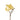 Flowers-Magnolia-Bloomr
