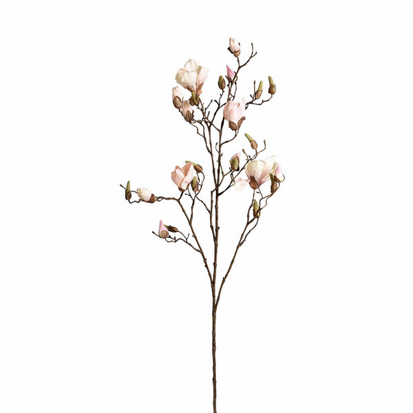Magnolia - Bloomr
