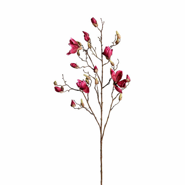 Magnolia - Bloomr