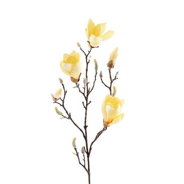 Magnolia - Bloomr
