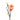 Flowers-Magnolia-Bloomr
