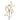 Flowers-Magnolia-Bloomr