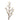 Flowers-Magnolia-Bloomr