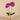 Flowers-Artificial Orchid Arrangement-Bloomr