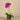 Flowers-Artificial Orchid Arrangement-Bloomr