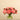 Flowers-Artificial Peony Arrangement in Glass Vase-Bloomr