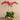 Flowers-Artificial Orchid Arrangement-Bloomr