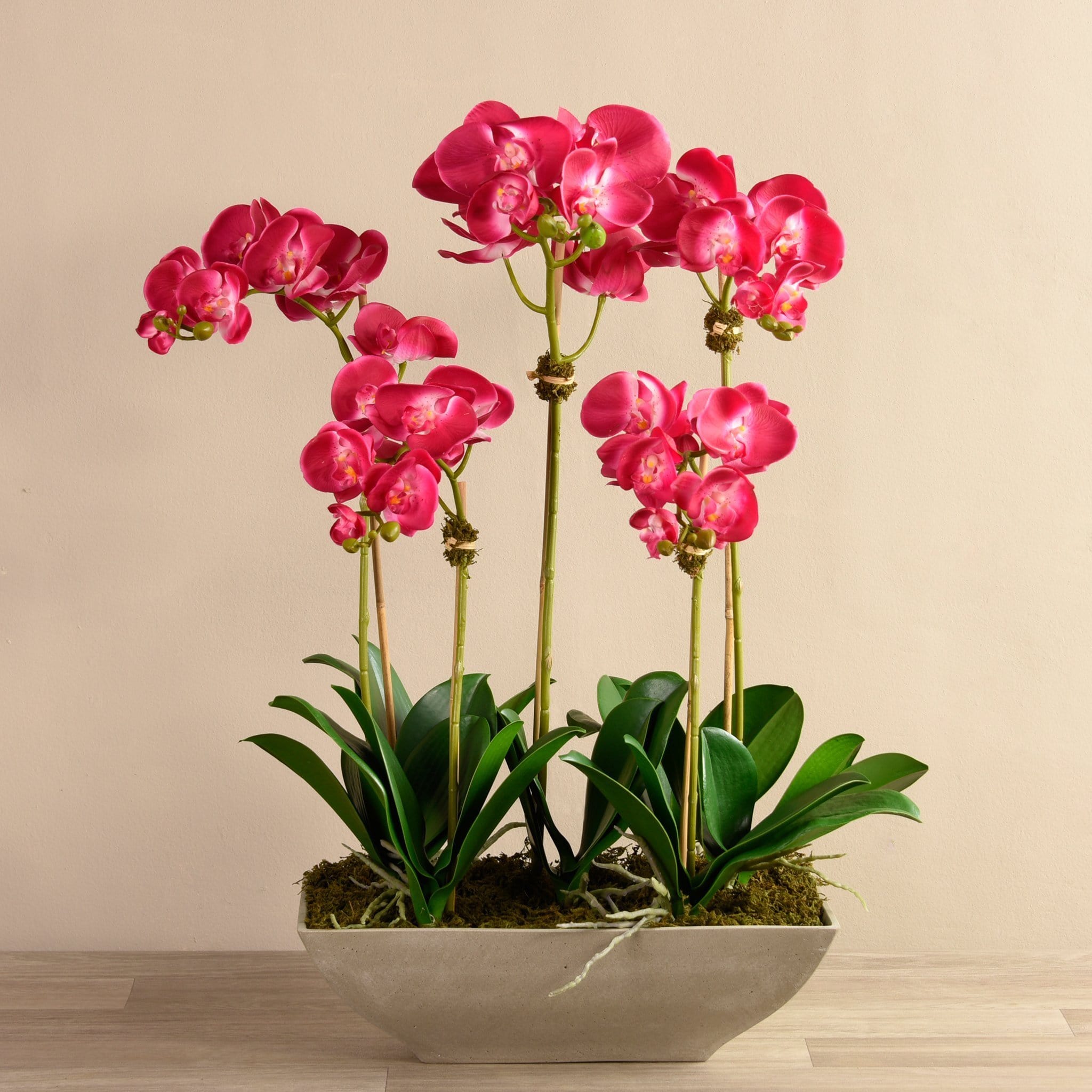 Contemporary Artificial Orchid Arrangement - Bloomr