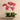 Flowers-Contemporary Artificial Orchid Arrangement-Bloomr