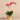Flowers-Orchid Arrangement in Gold Vase-Bloomr