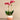 Flowers-Santa Fe Orchid Arrangement-Bloomr