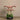 Flowers-Oasis Artificial Orchids in Black Pot-Bloomr