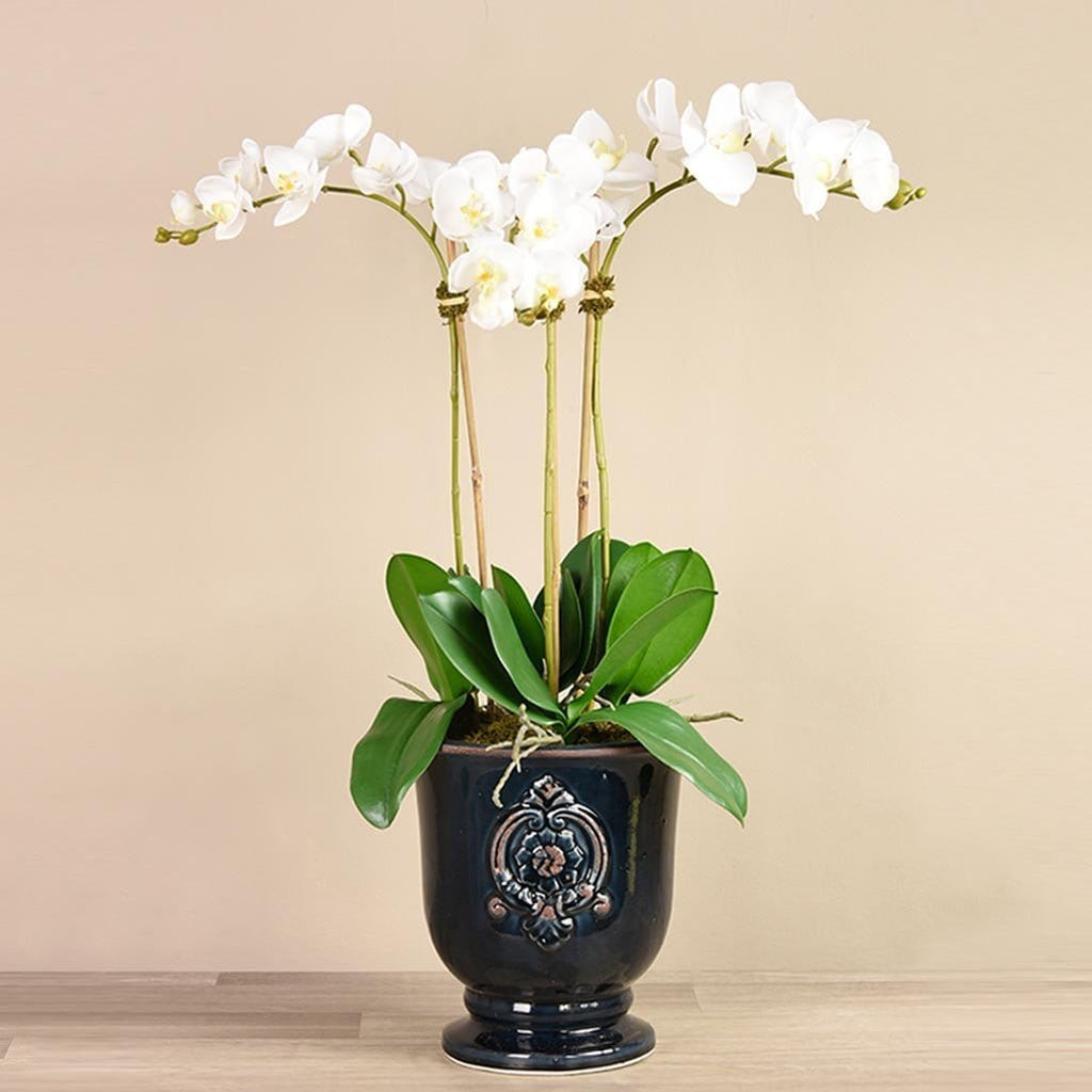 Artificial Orchid Arrangement - Bloomr