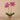 Flowers-Artificial Orchid Arrangement-Bloomr