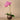 Flowers-Artificial Orchid Arrangement-Bloomr