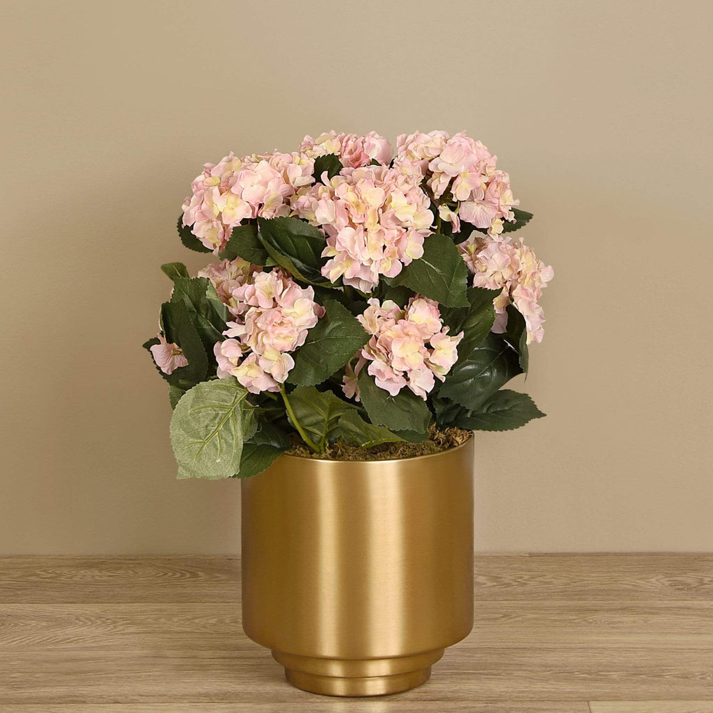 Hydrangea Arrangement - Bloomr