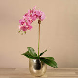 Jewel Artificial Orchid Arrangement - Bloomr