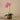 Flowers-Artificial Orchid Arrangement-Bloomr