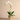 Flowers-Artificial Orchid Arrangement-Bloomr