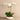 Flowers-Greenhouse Artificial Orchid Arrangement-Bloomr