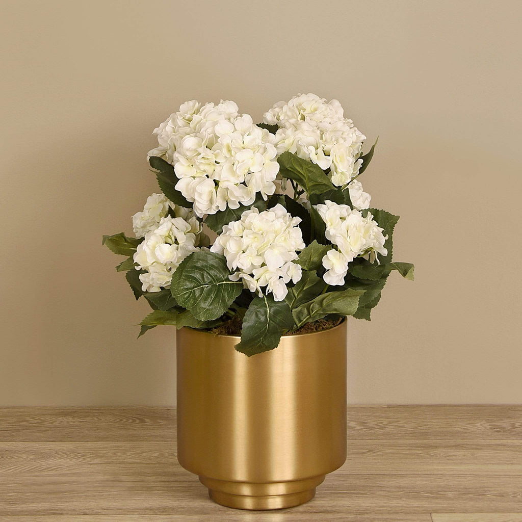 Hydrangea Arrangement - Bloomr