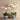 Flowers-Moroccan Orchid Arrangement-Bloomr