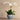 Flowers-Moroccan Orchid Arrangement-Bloomr